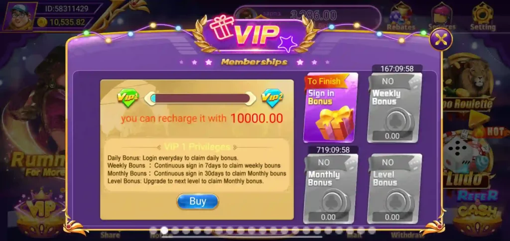 What is the VIP